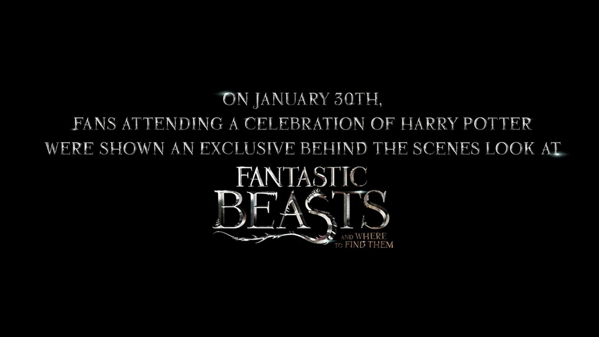 Fantastic Beasts And Where To Find Them Highlight Reel From 