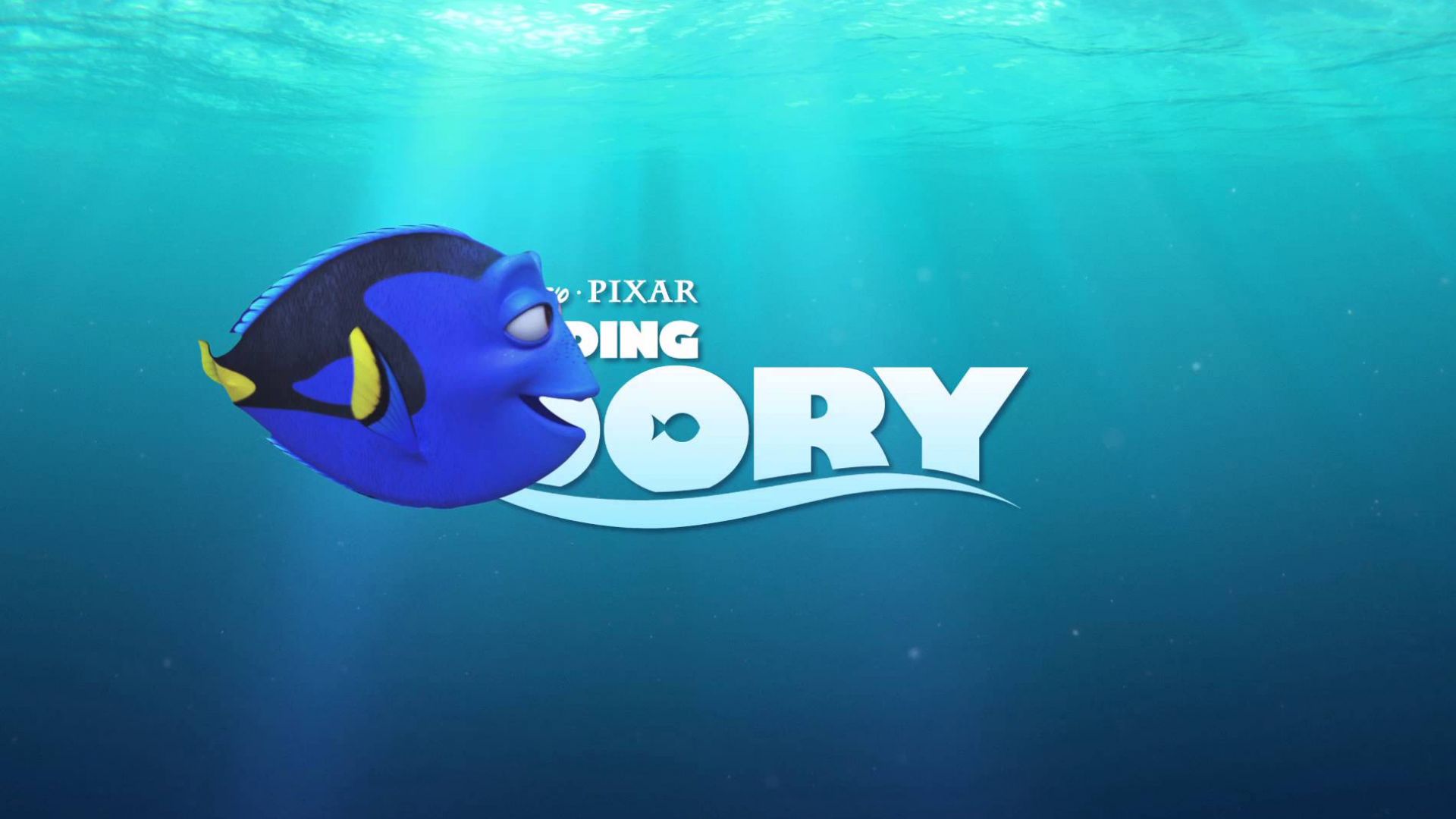 Have You Seen Her? Finding Dory