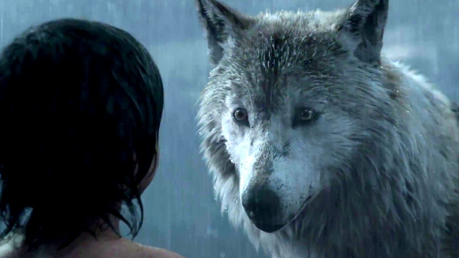 The Jungle Book Clip - Mowgli Leaves The Pack