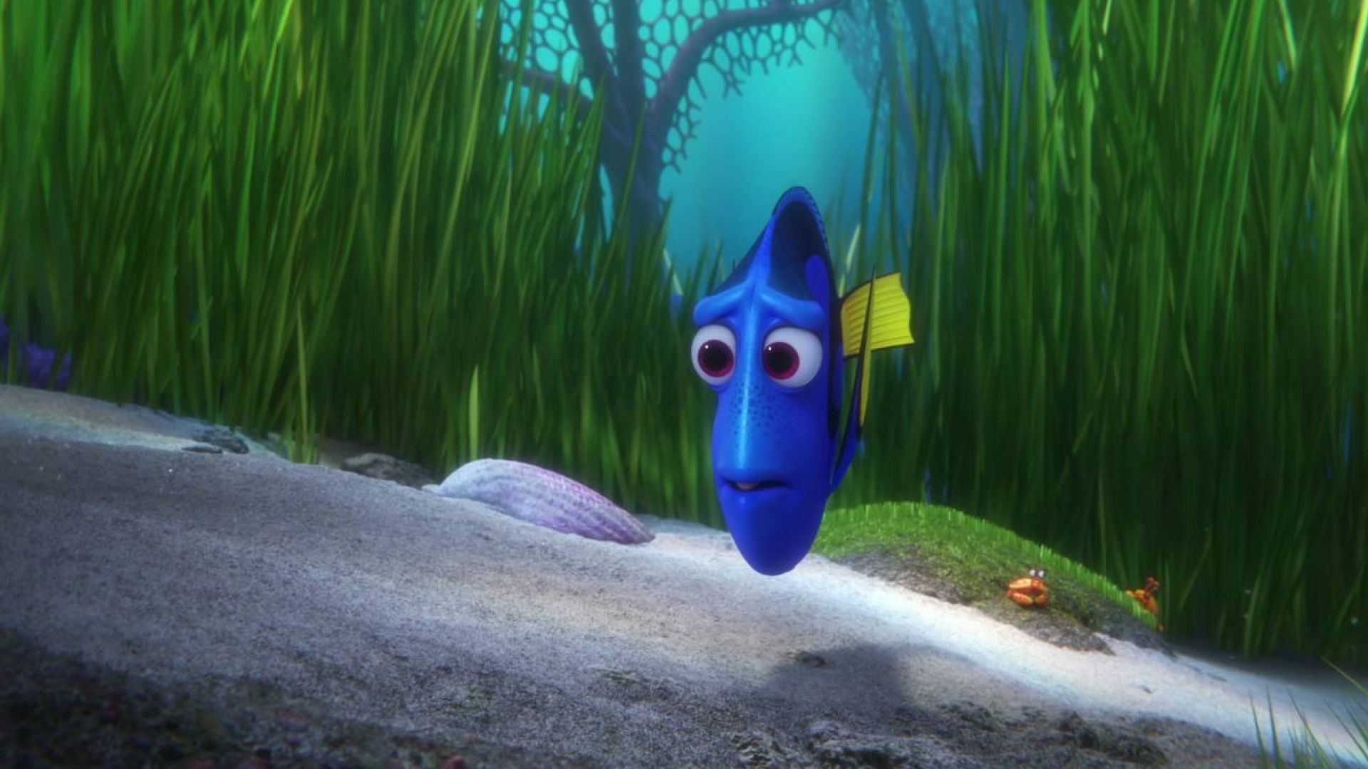 Fantastic &#039;Finding Dory&#039; trailer reveals new characters. Pre