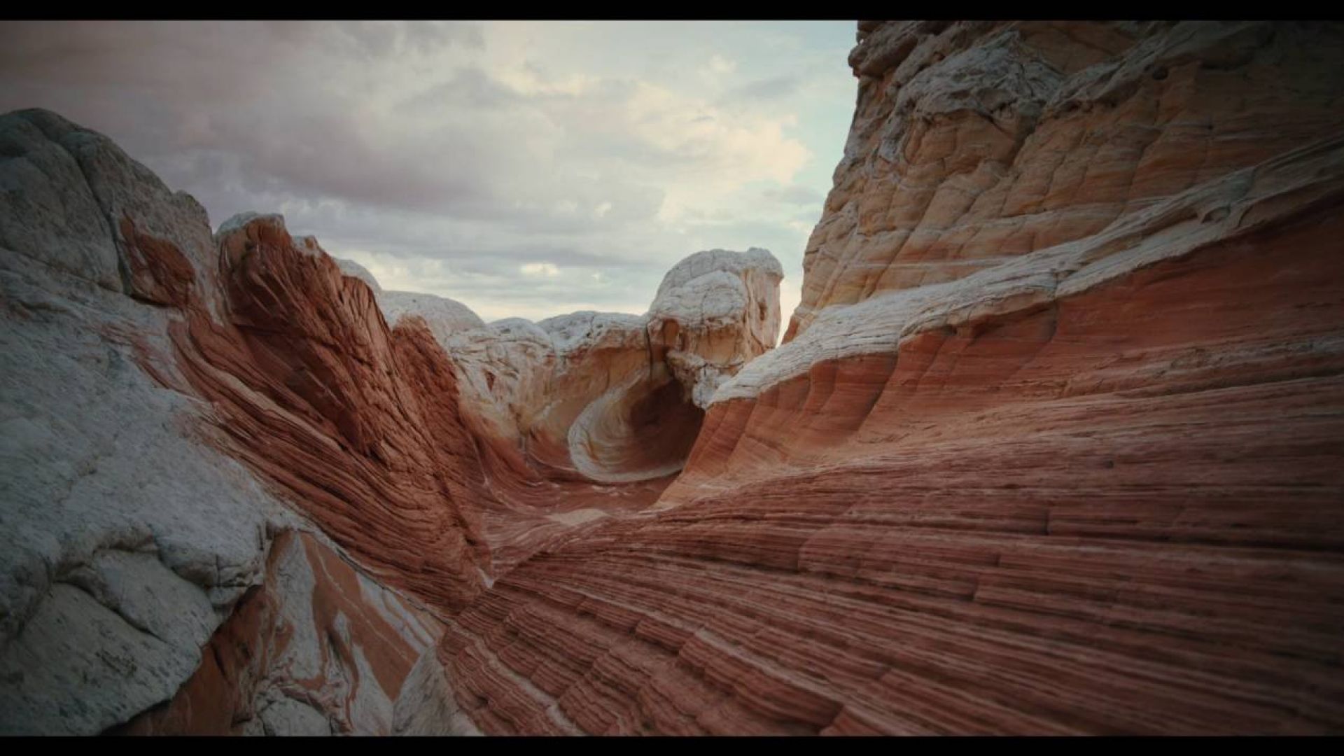 Stunning imageries in Terrence Malick&#039;s &#039;Voyage of Time&#039; Tra