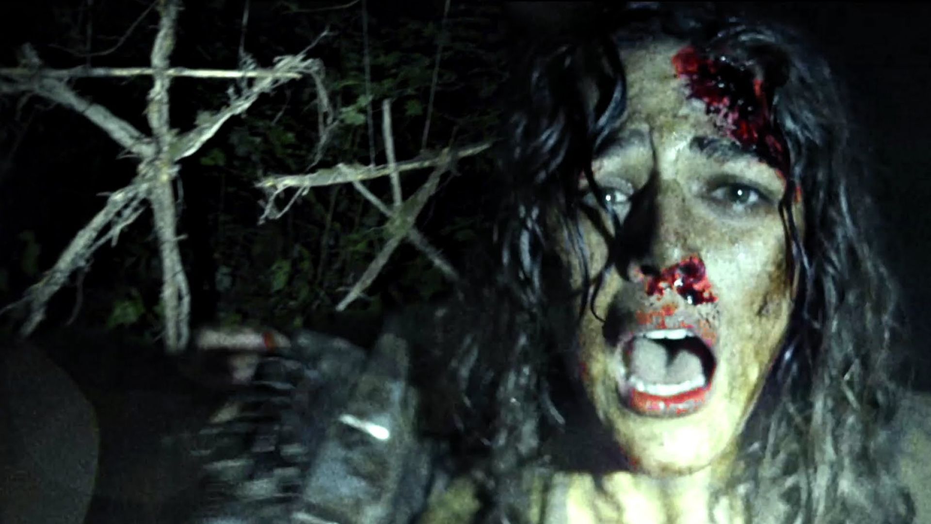 Adam Wingard&#039;s &#039;The Woods&#039; Revealed to actually be a Blair W