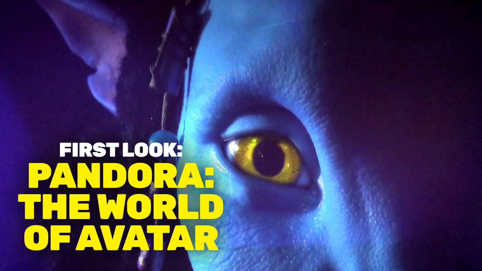 First Look: Pandora World of Avatar Animatronic &amp; More At Di