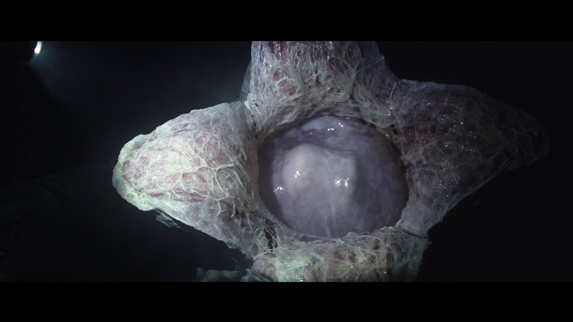 Alien Covenant Trailer