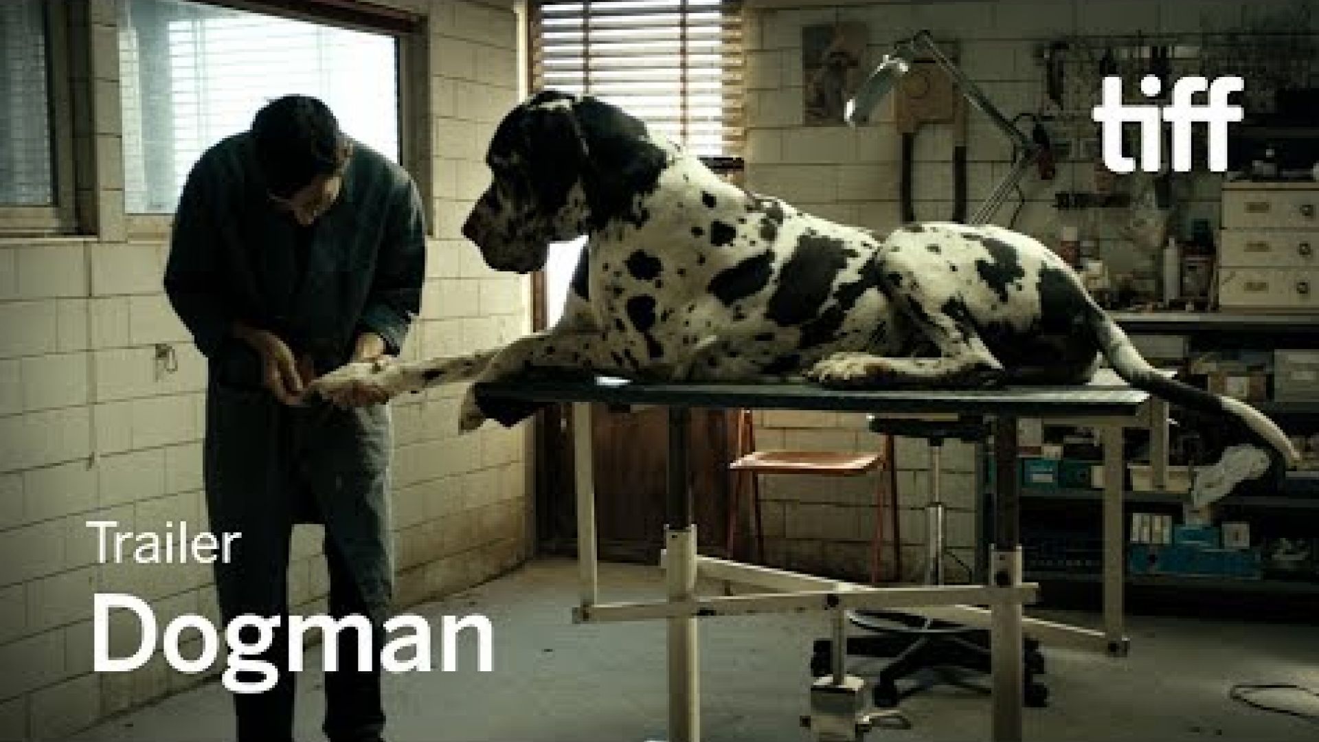 'Dogman' Trailer