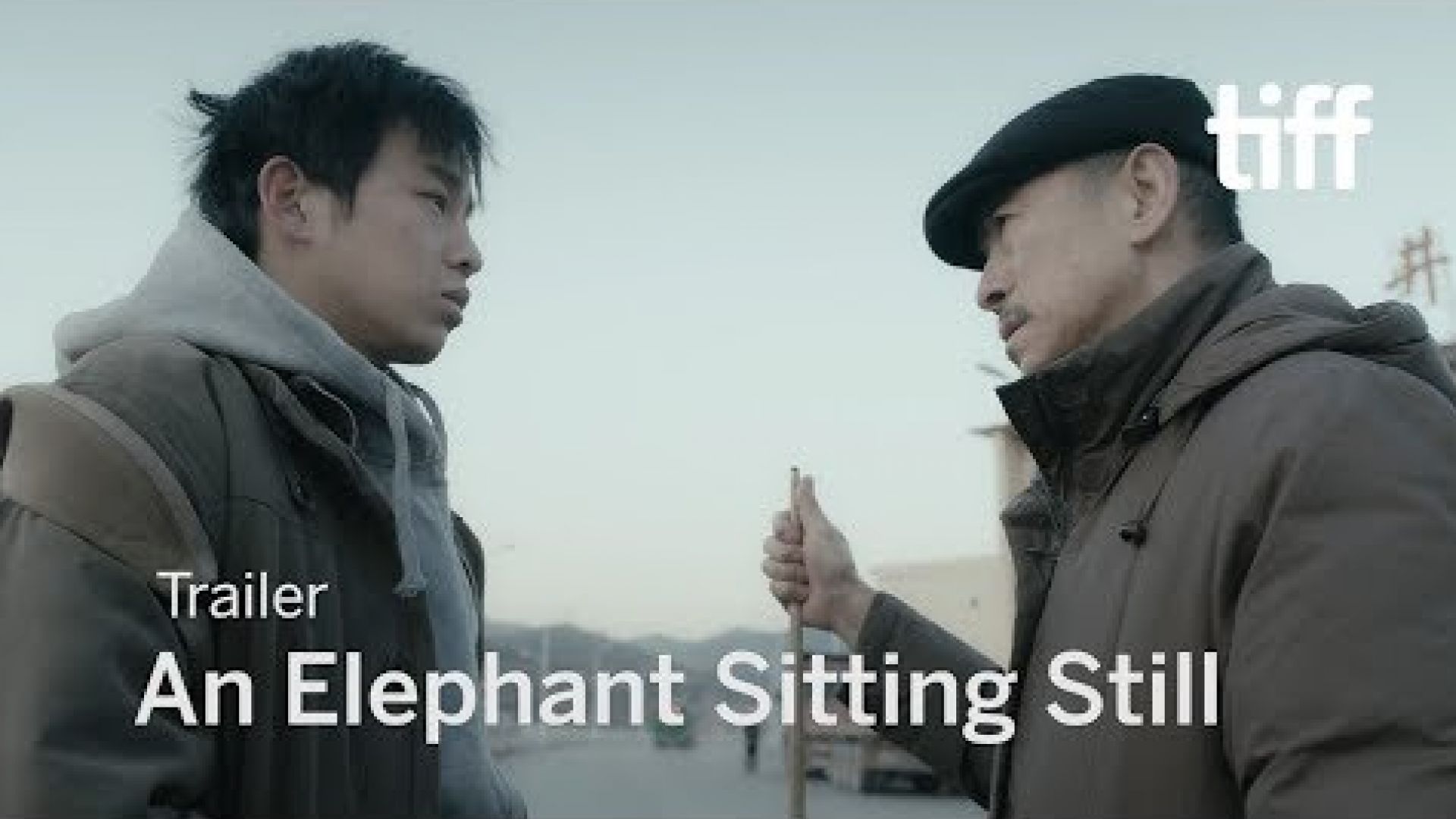 'An Elephant Sitting Still' Trailer
