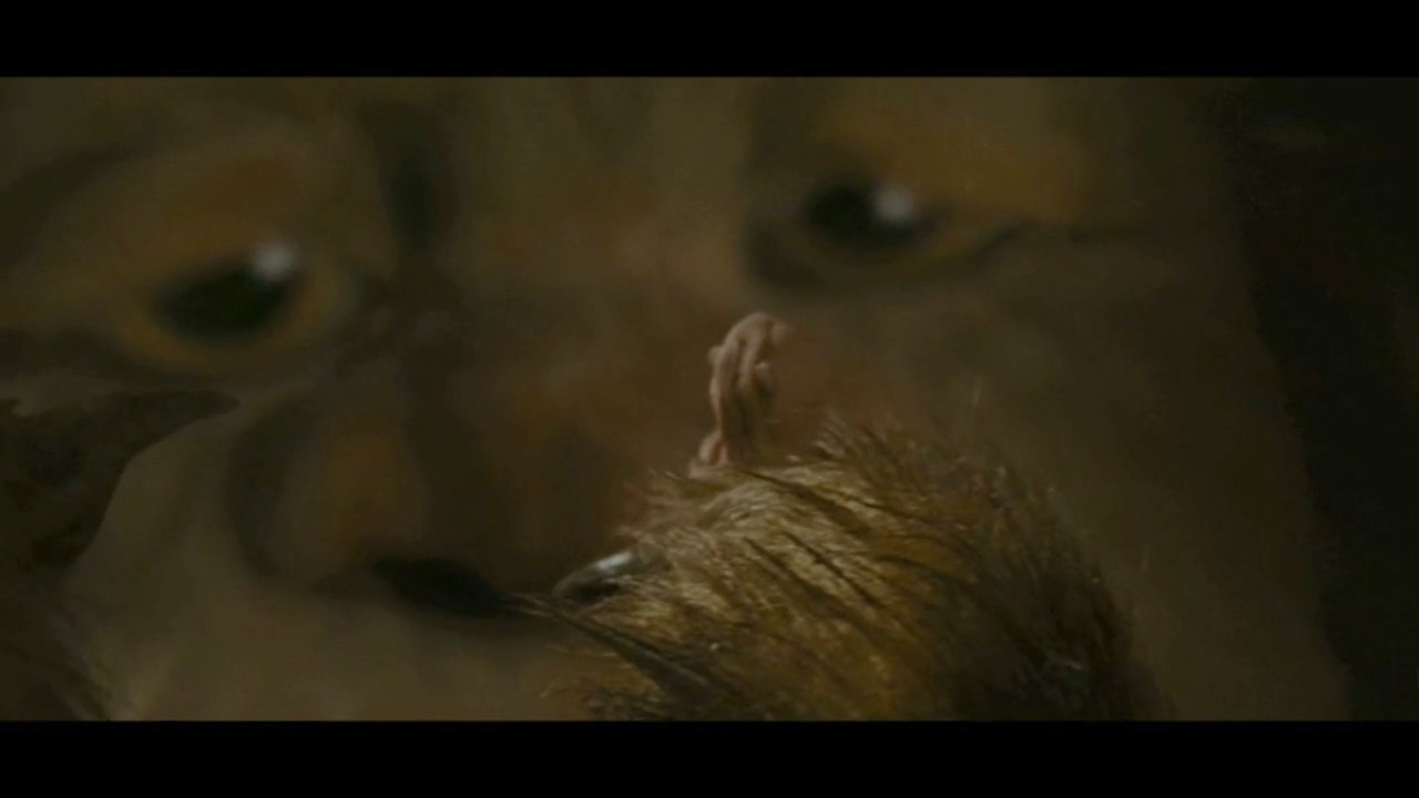 where the wild things are HD
